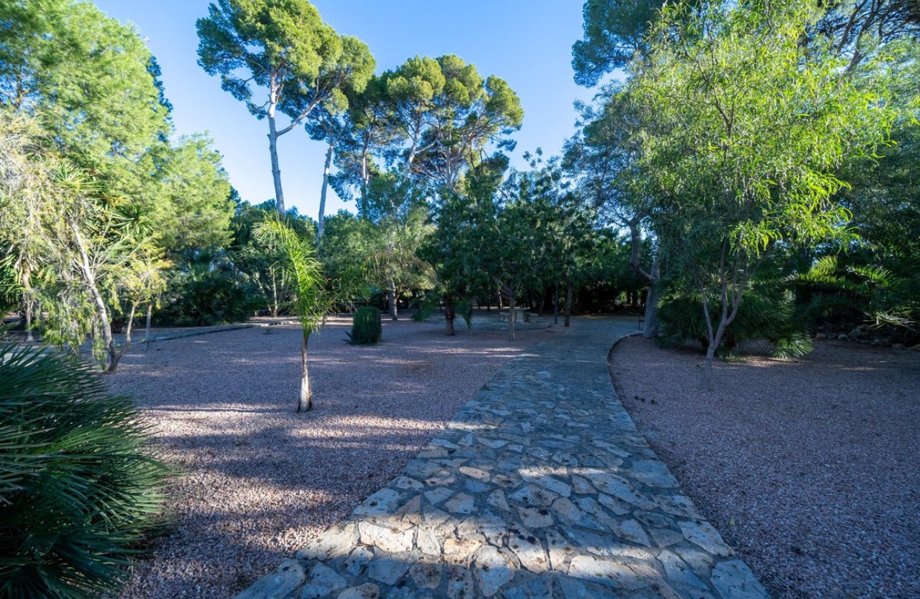 Használt ingatlanok - Villa -
Muchamiel - Mutxamel - Muchamiel - Mutxamel Centro