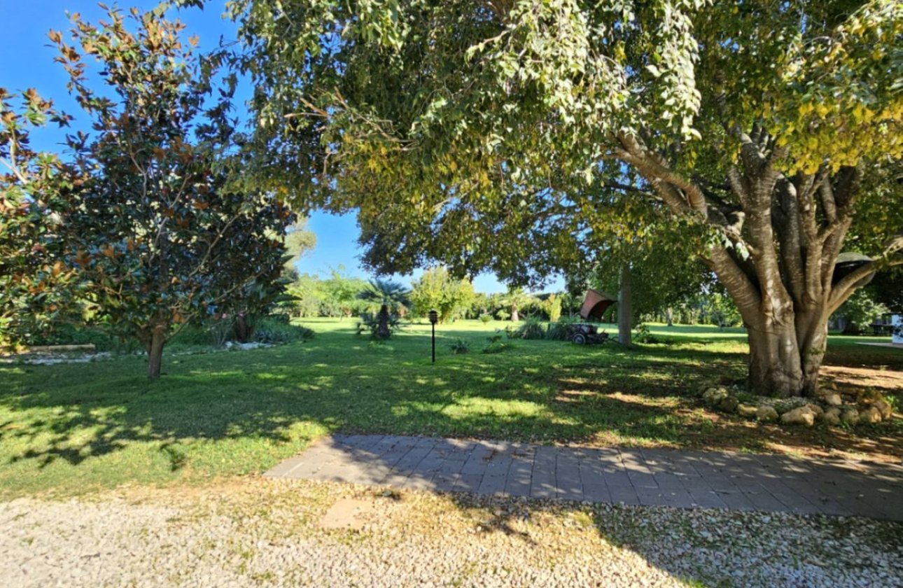 Használt ingatlanok - Villa -
Ondara - Ondara Centro