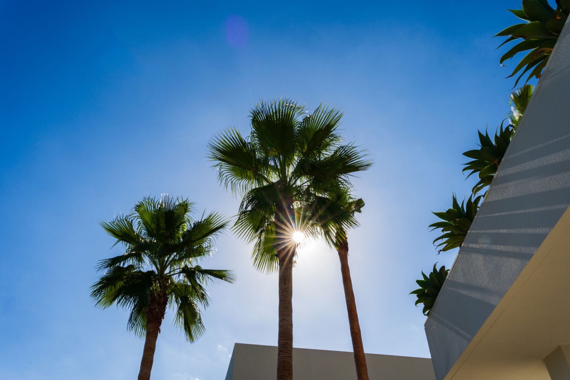 Használt ingatlanok - Villa -
Orihuela - Las Colinas Golf