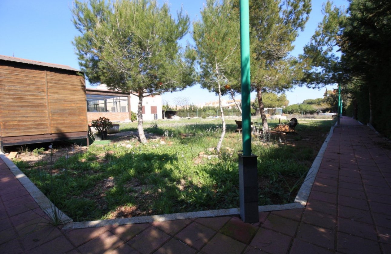 Használt ingatlanok - Villa -
Orihuela - Orihuela Costa