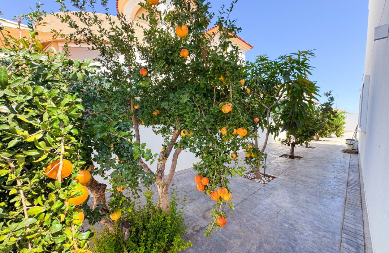 Használt ingatlanok - Villa -
San Fulgencio - San Fulgencio Centro