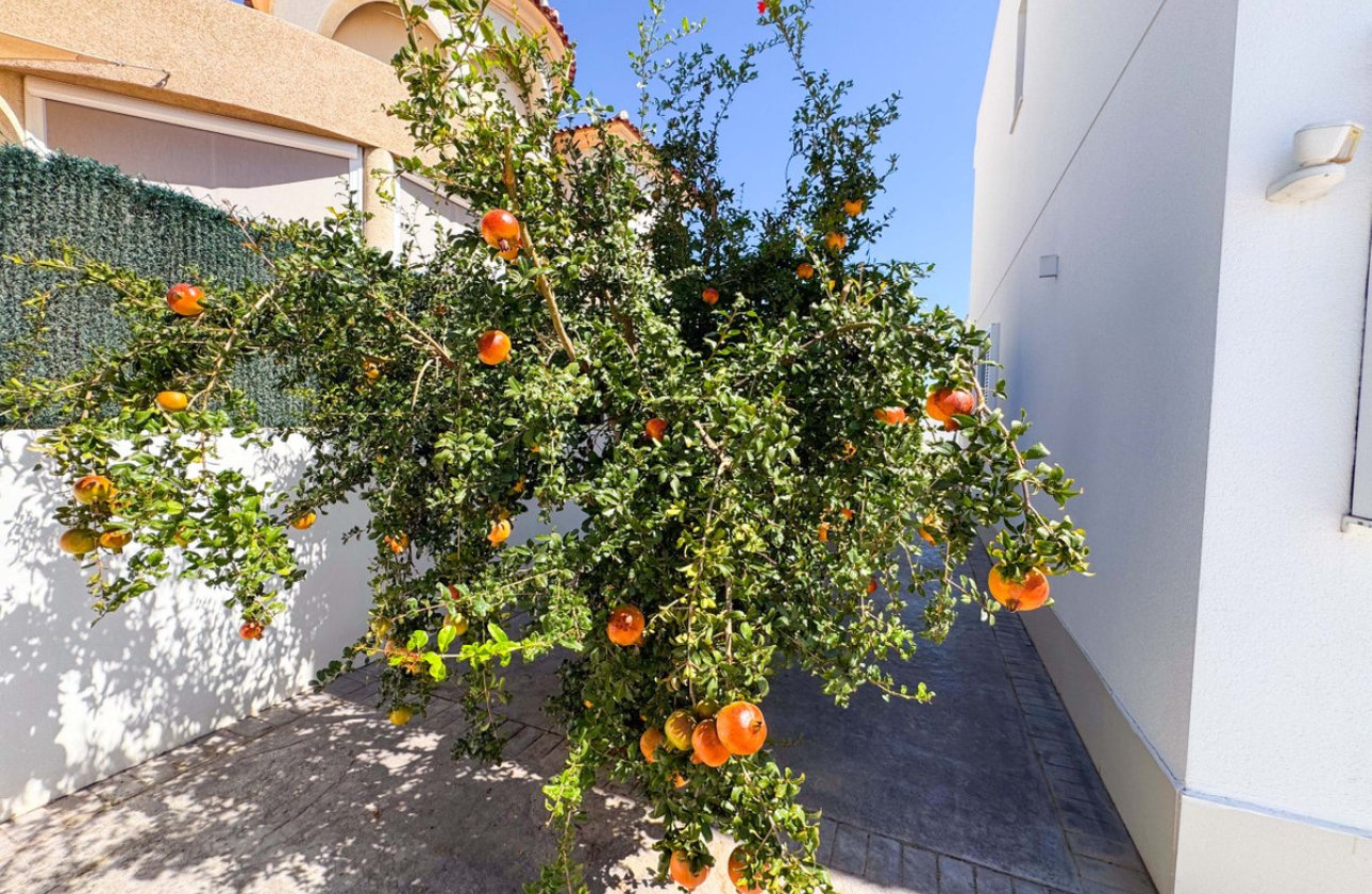 Használt ingatlanok - Villa -
San Fulgencio - San Fulgencio Centro