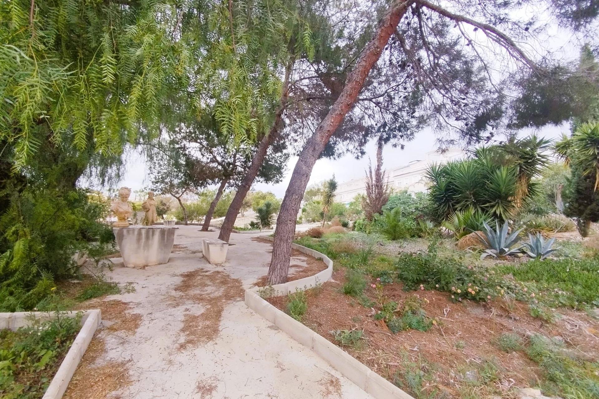 Használt ingatlanok - Villa -
San Miguel de Salinas - Las filipinas