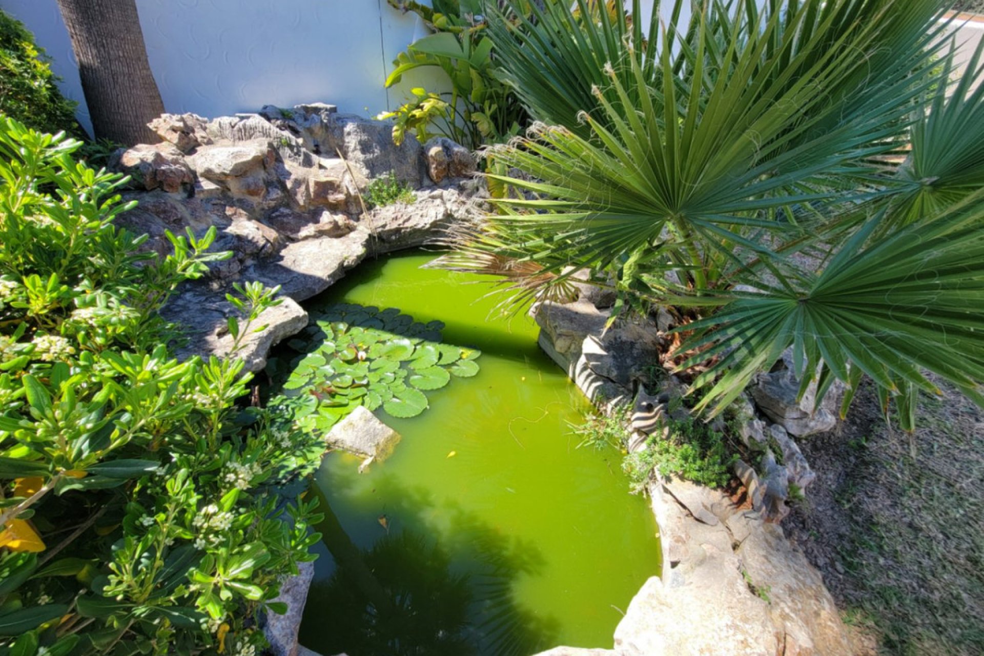 Használt ingatlanok - Villa -
Teulada - Moraira