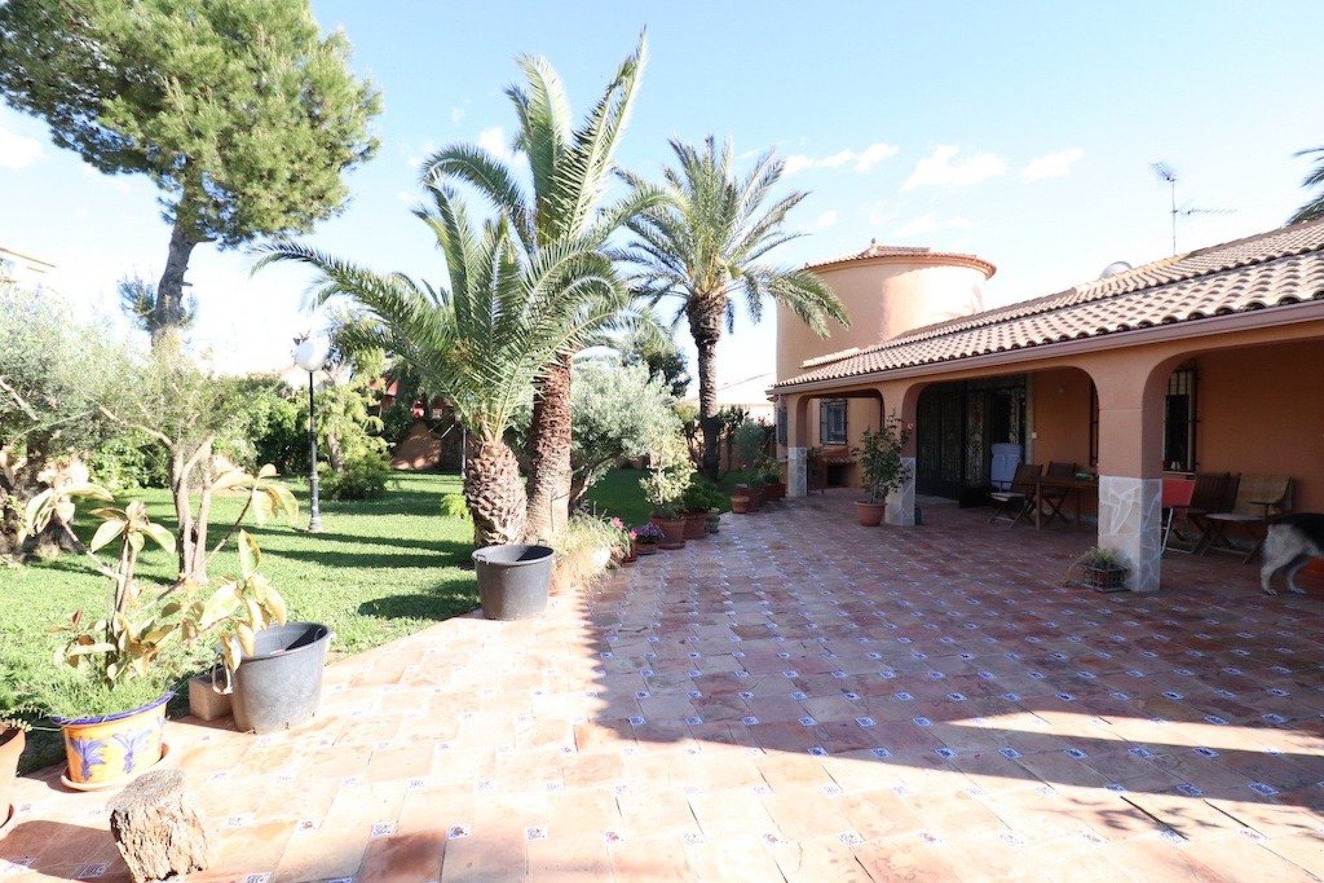 Használt ingatlanok - Villa -
Torrevieja - El chaparral