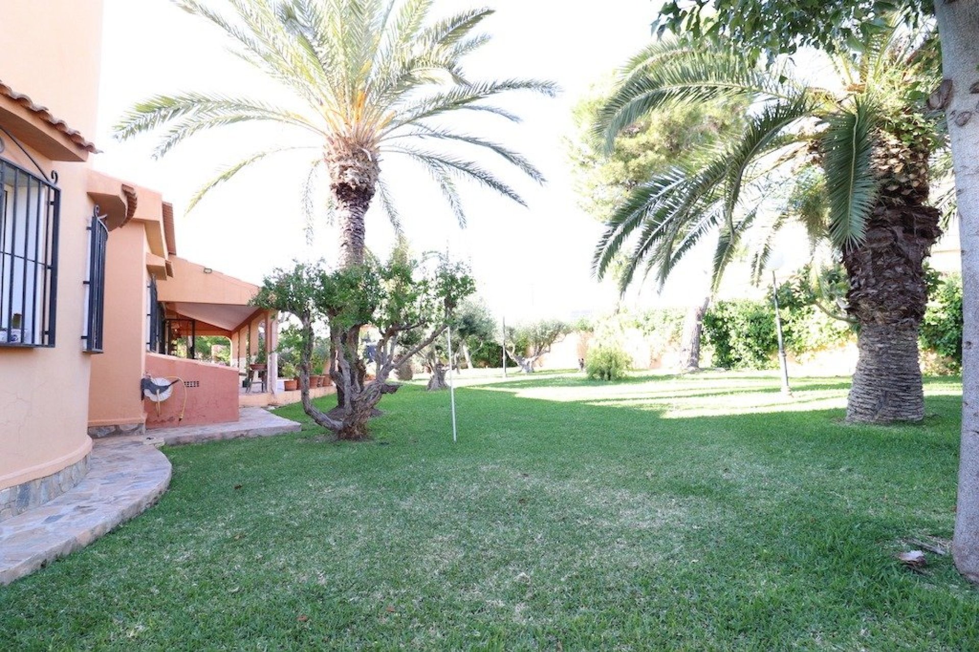 Használt ingatlanok - Villa -
Torrevieja - El chaparral