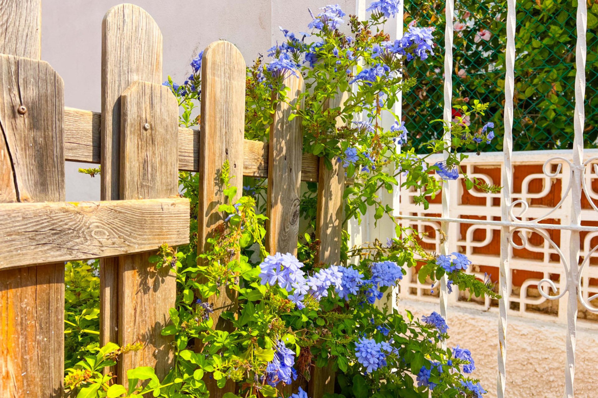 Használt ingatlanok - Villa -
Torrevieja - La Mata