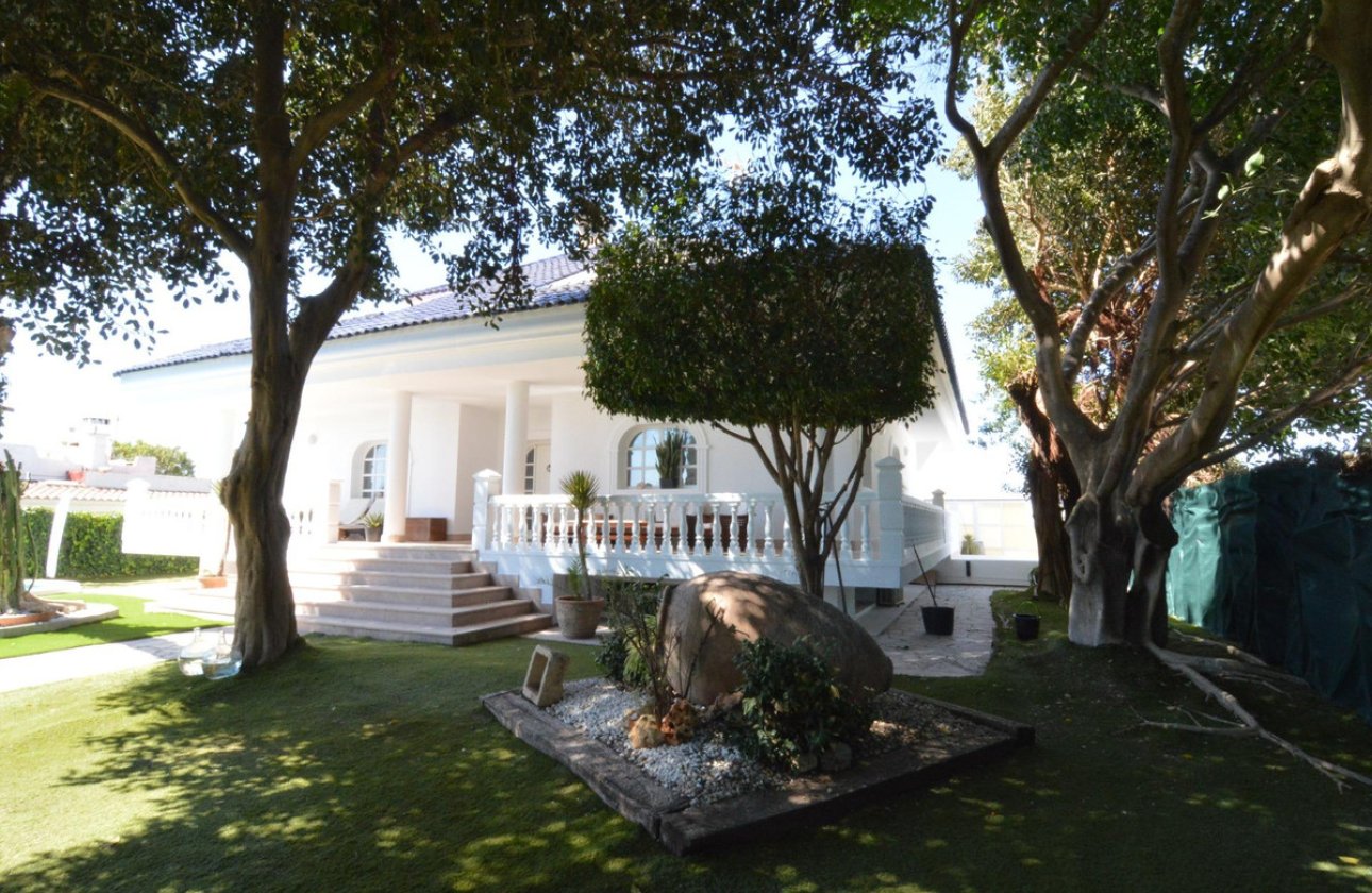 Használt ingatlanok - Villa -
Torrevieja - Torrevieja Centro