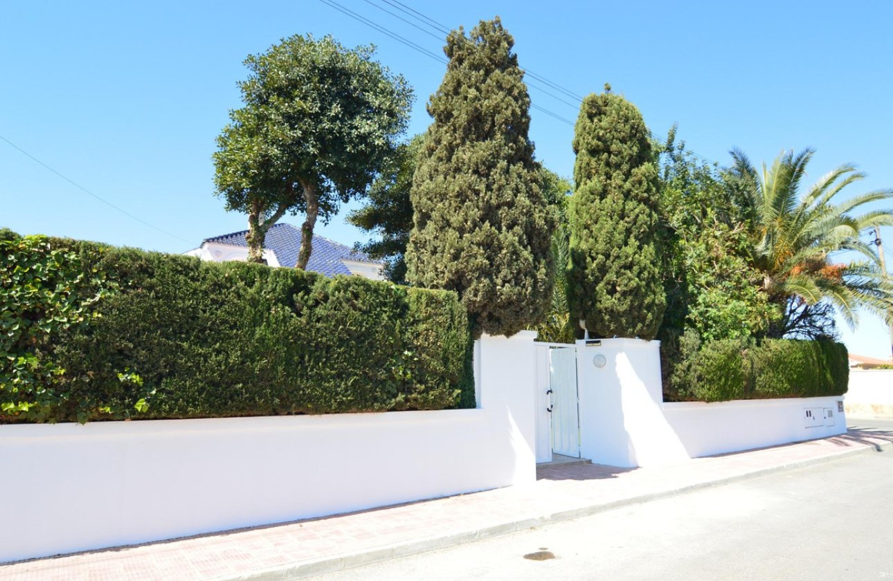 Használt ingatlanok - Villa -
Torrevieja - Torrevieja Centro