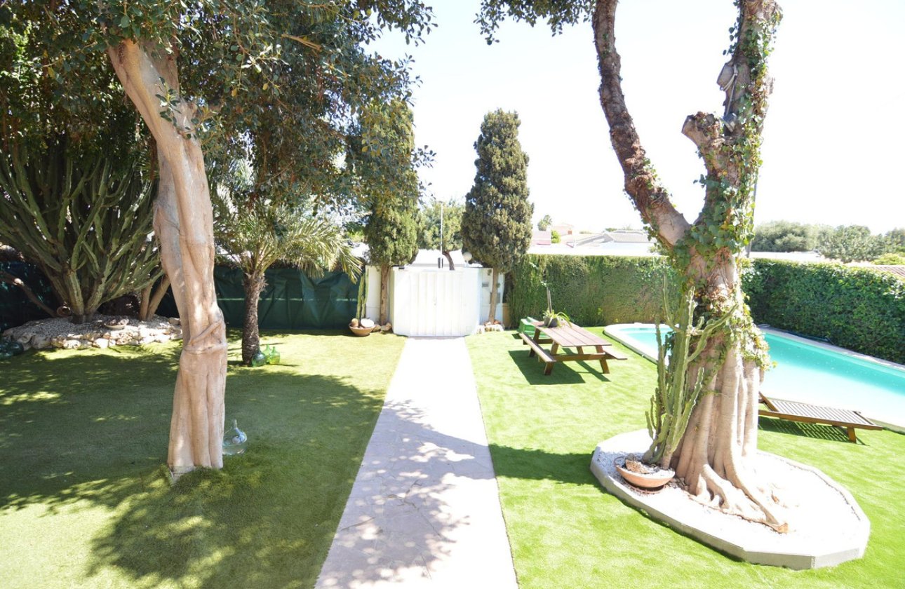 Használt ingatlanok - Villa -
Torrevieja - Torrevieja Centro