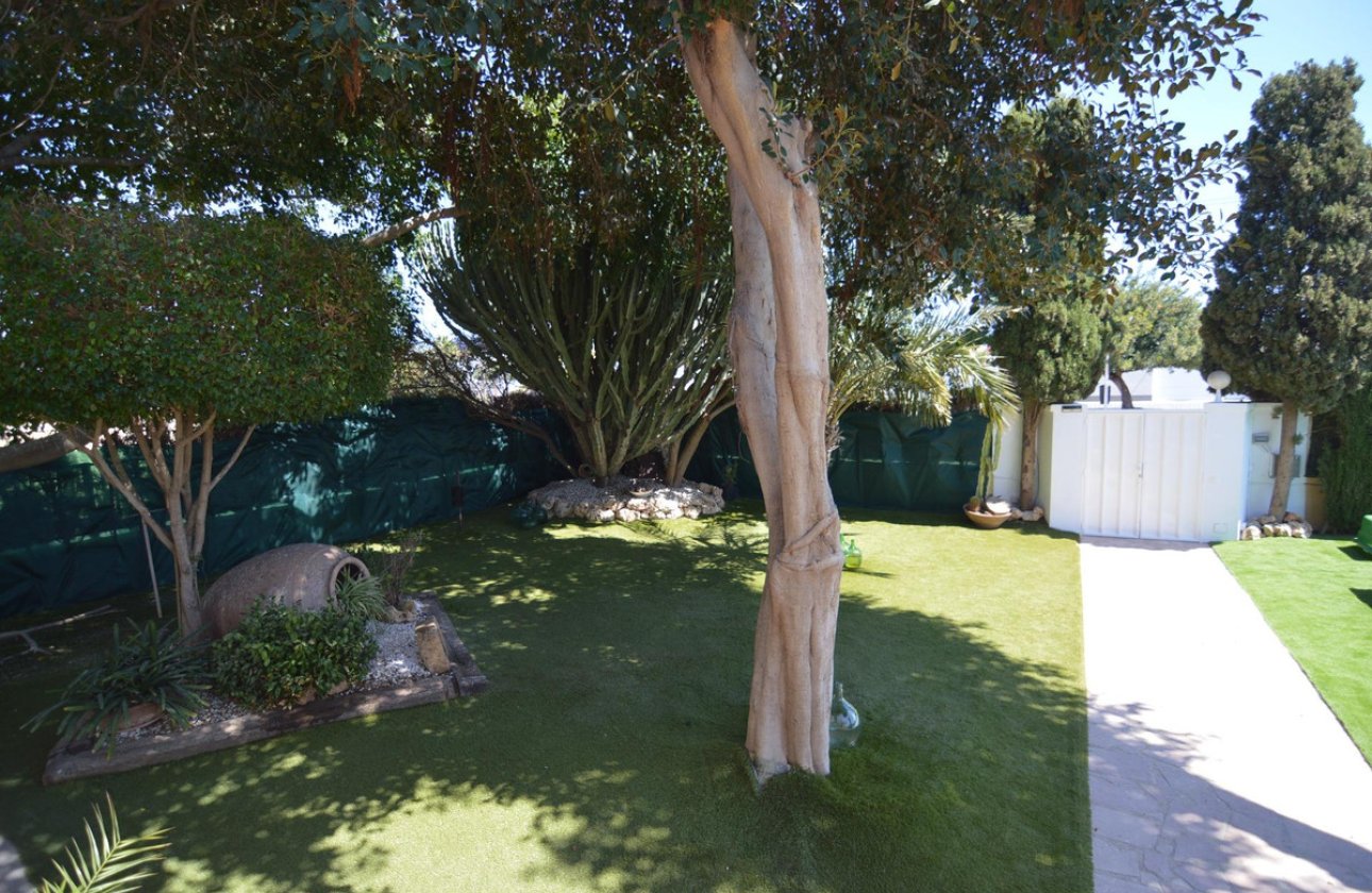 Használt ingatlanok - Villa -
Torrevieja - Torrevieja Centro