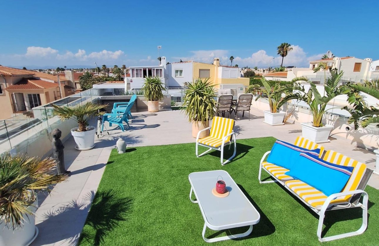 Használt ingatlanok - Villa -
Torrevieja - Torrevieja Centro