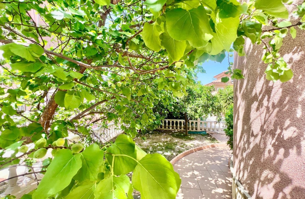 Használt ingatlanok - Villa -
Torrevieja - Torrevieja Centro