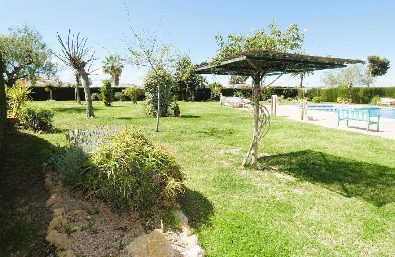 Használt ingatlanok - Villa -
Torrevieja - Torrevieja Centro