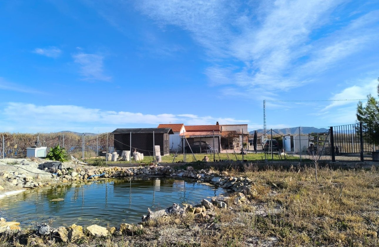 Használt ingatlanok - Villa -
Villena - Villena Centro