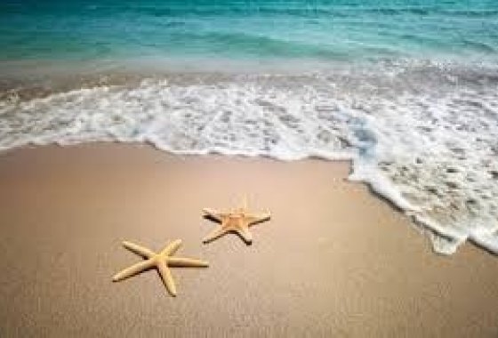 Hotel - Resale - Murcia - Murcia