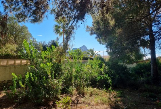 land - Használt ingatlanok - Calpe - Calpe Centro