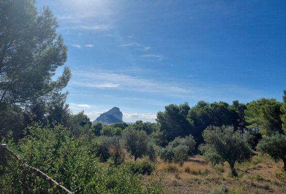 land - Használt ingatlanok - Calpe - Calpe Centro