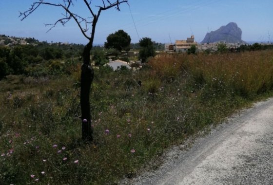 land - Használt ingatlanok - Calpe - Calpe Centro