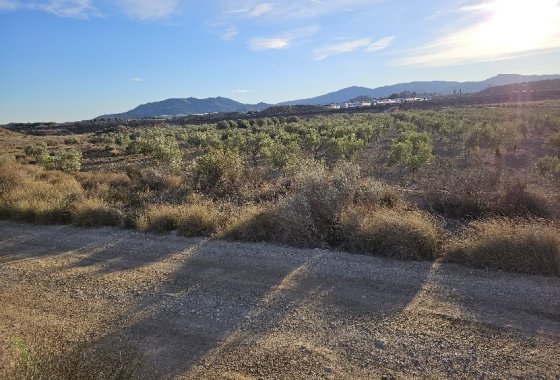 land - Használt ingatlanok - Elda - Elda Centro