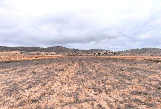 land - Használt ingatlanok - Jalón -
                La Solana