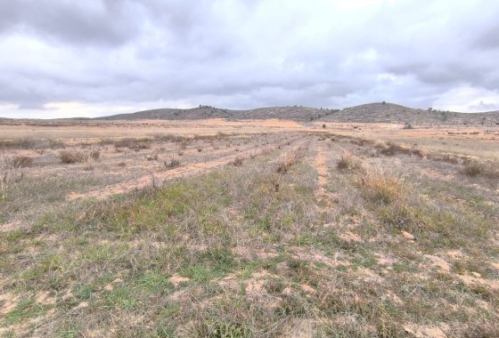 land - Használt ingatlanok - Jalón - La Solana