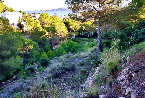 land - Használt ingatlanok - Jávea - Xàbia - Jávea - Xàbia Centro