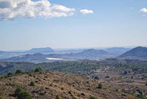 land - Használt ingatlanok - La Romana - La Romana Centro