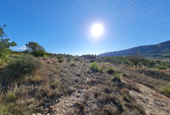 land - Használt ingatlanok - La Romana - La Romana Centro