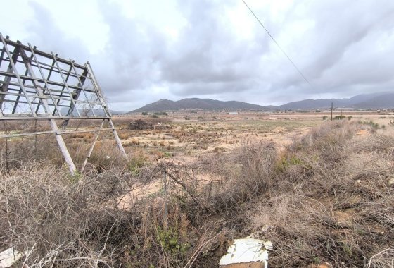 land - Használt ingatlanok - La Romana - La Romana Centro