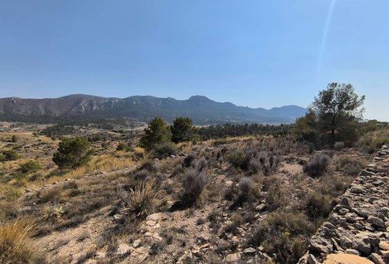 land - Használt ingatlanok - La Romana - La Romana Centro