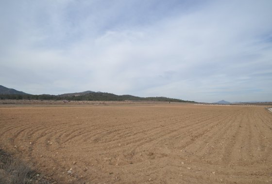 land - Használt ingatlanok - Monóvar - Monòver -
                Monóvar - Monòver Centro