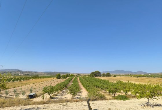 land - Használt ingatlanok - Monóvar - Monòver - Monóvar - Monòver Centro