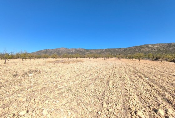 land - Használt ingatlanok - Monóvar - Monòver - Monóvar - Monòver Centro