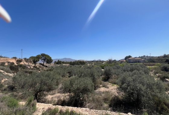 land - Használt ingatlanok - Monóvar - Monòver - Monóvar - Monòver Centro