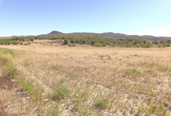 land - Használt ingatlanok - Monóvar - Monòver -
                Monóvar - Monòver Centro