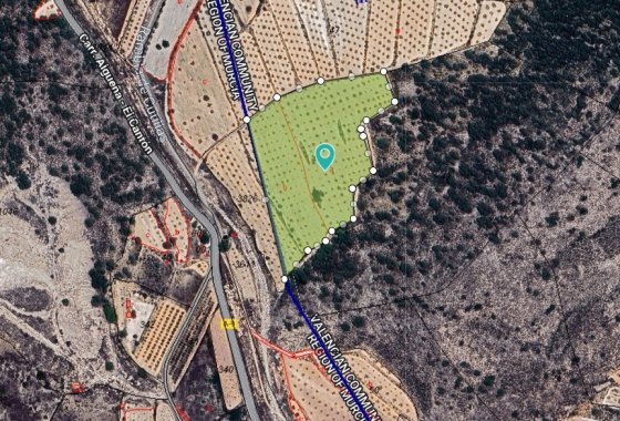 land - Használt ingatlanok - Orihuela -
                Orihuela Centro