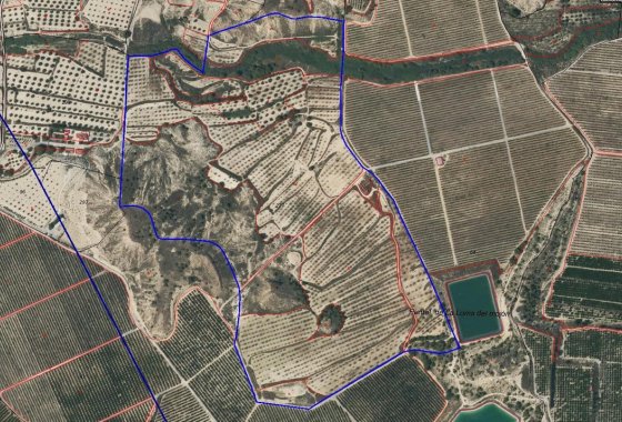 land - Használt ingatlanok - Orihuela - Torremendo