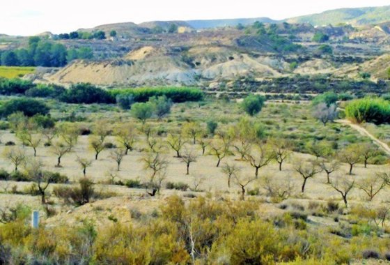 land - Használt ingatlanok - Orihuela - Torremendo