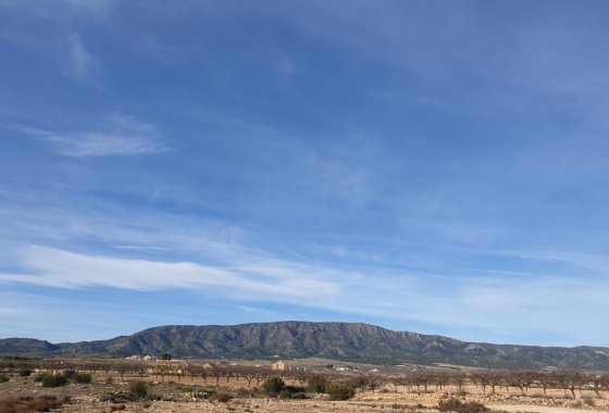 land - Használt ingatlanok - Pinoso - Pinoso Centro
