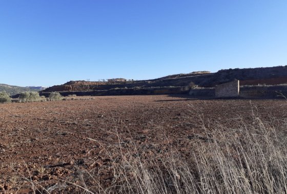 land - Használt ingatlanok - Pinoso - Pinoso Centro