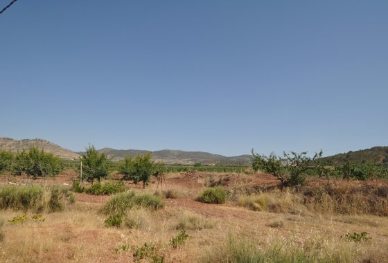 land - Használt ingatlanok - Pinoso - Pinoso Centro