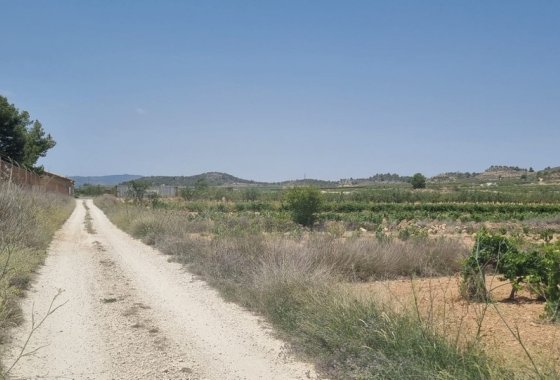 land - Használt ingatlanok - Pinoso - Pinoso Centro