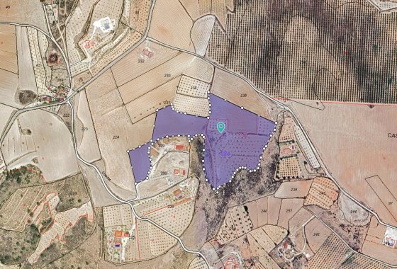 land - Használt ingatlanok - Pinoso - Pinoso Centro