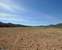 land - Használt ingatlanok -
                Salinas - RO-27793