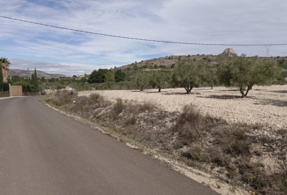 land - Használt ingatlanok - Salinas - Salinas Centro