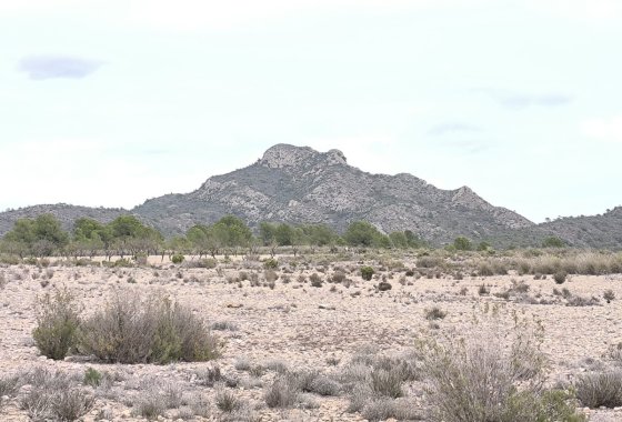 land - Használt ingatlanok - Salinas - Salinas Centro