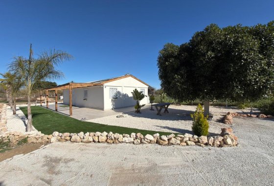 land - Resale - Algorfa - Algorfa Centro