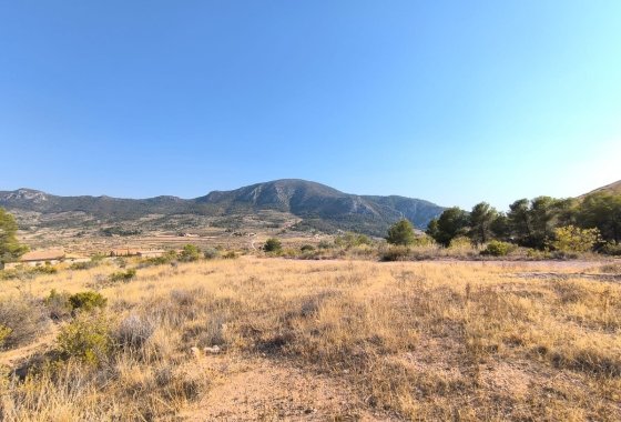 land - Resale - Algueña -
                Algueña