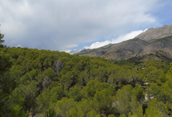 land - Resale - Altea - Altea Centro